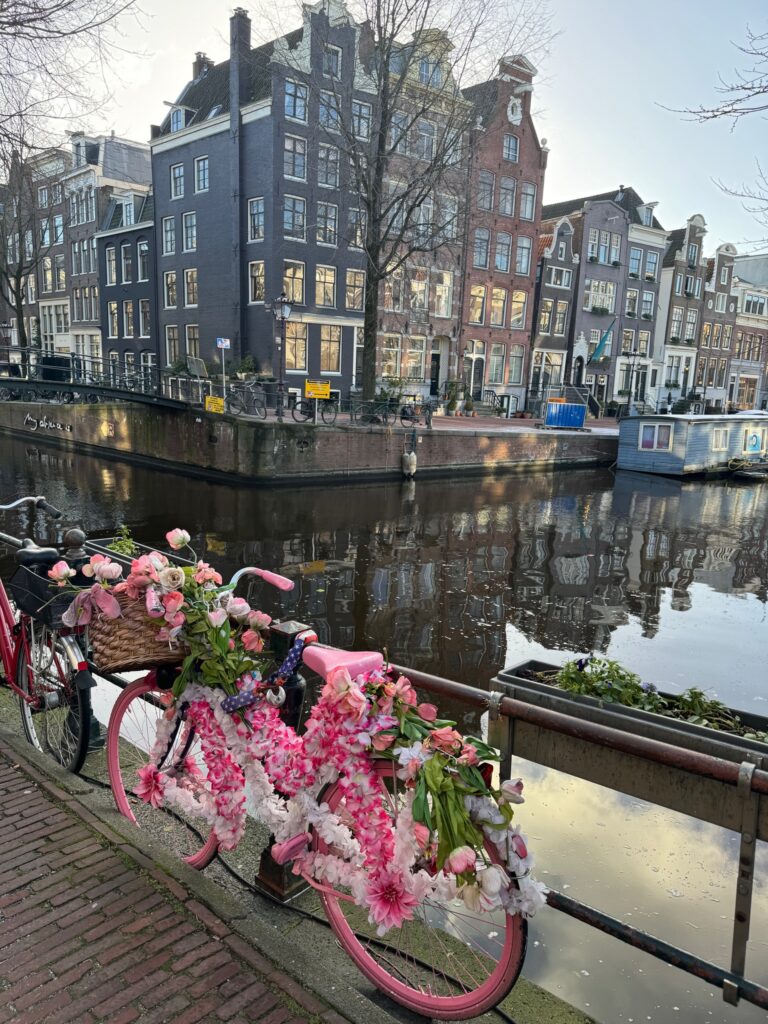 Pink bike decorating the canals of Amsterdam