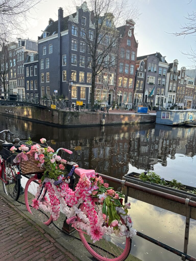 Pink flower bikes on a canal in the Jordaan