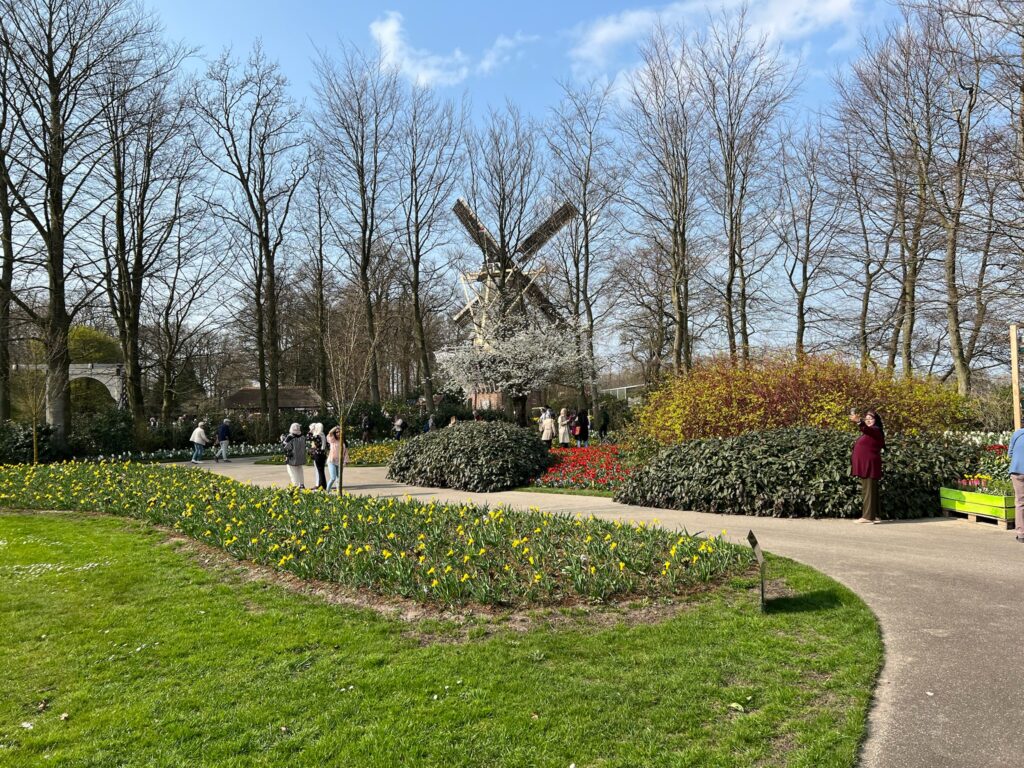 windmill in Keukenhof Gardens