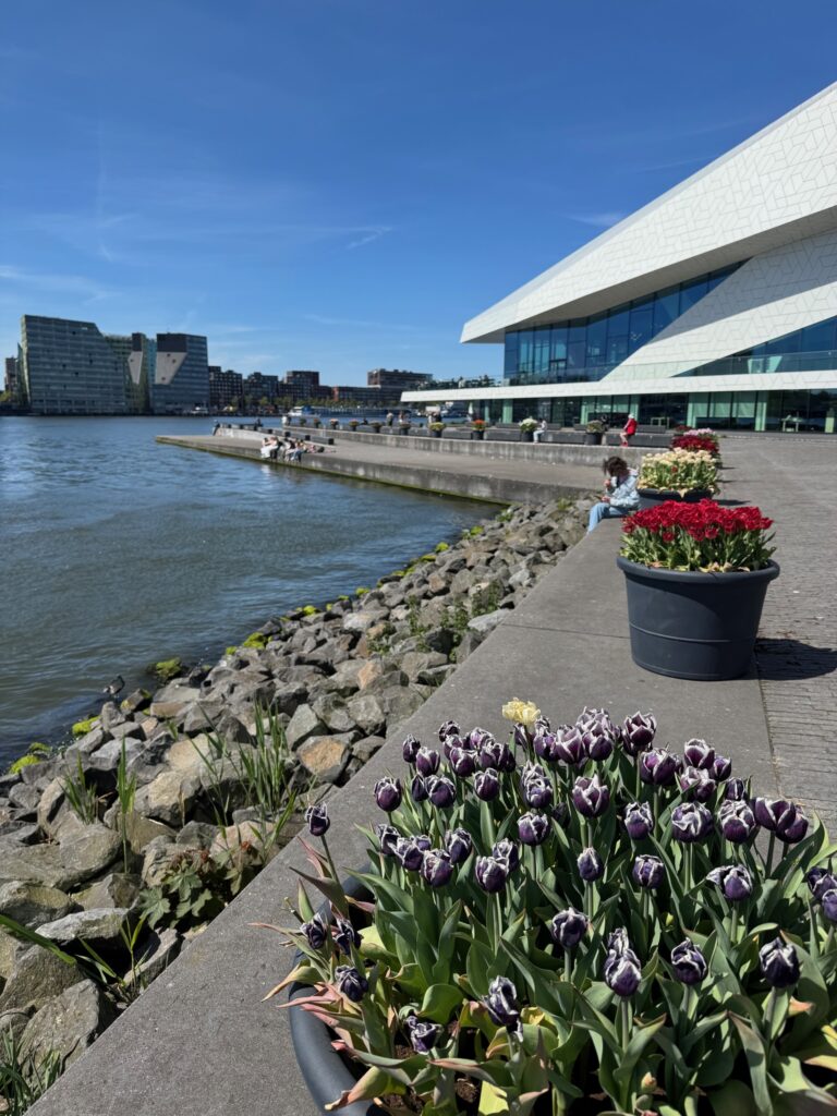 Film Eye on the River in Amsterdam Noord